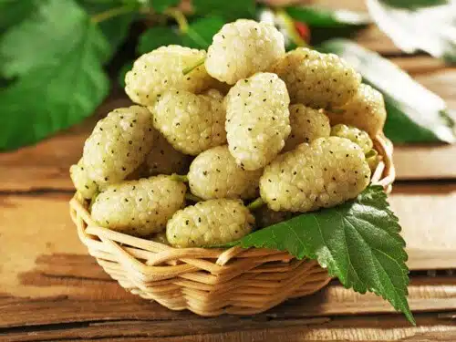 شیره توت رُزبُن